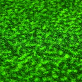 NFL - Miami Dolphins Putting Green Runner 18"x72"